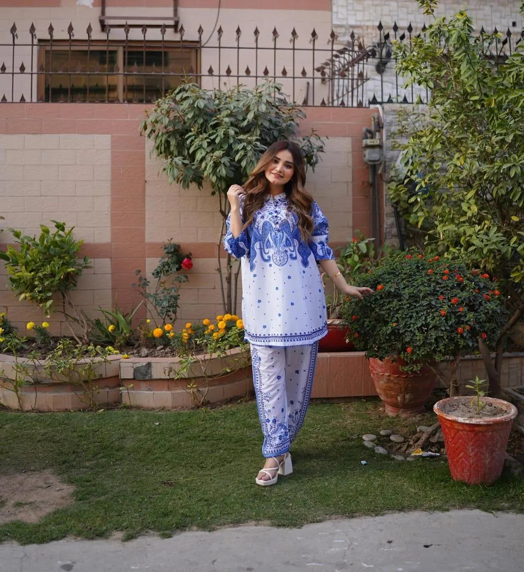 2 Pcs Women's Swiss Lawn Printed Co-Ord Set – Blue | Pista Collection
